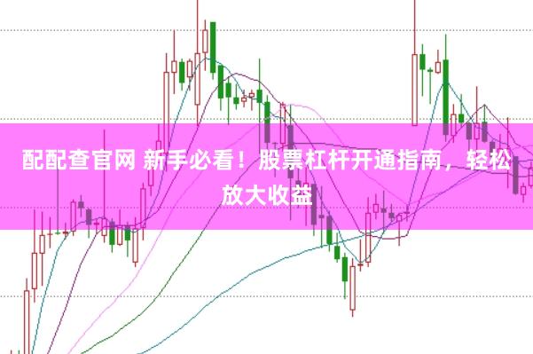 配配查官网 新手必看！股票杠杆开通指南，轻松放大收益