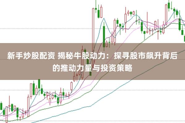 新手炒股配资 揭秘牛股动力：探寻股市飙升背后的推动力量与投资策略