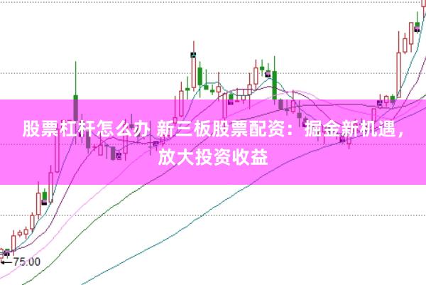 股票杠杆怎么办 新三板股票配资：掘金新机遇，放大投资收益