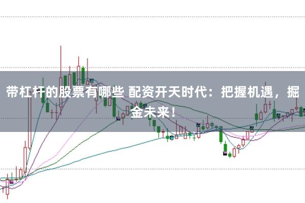 带杠杆的股票有哪些 配资开天时代：把握机遇，掘金未来！