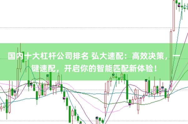 国内十大杠杆公司排名 弘大速配：高效决策，一键速配，开启你的智能匹配新体验！