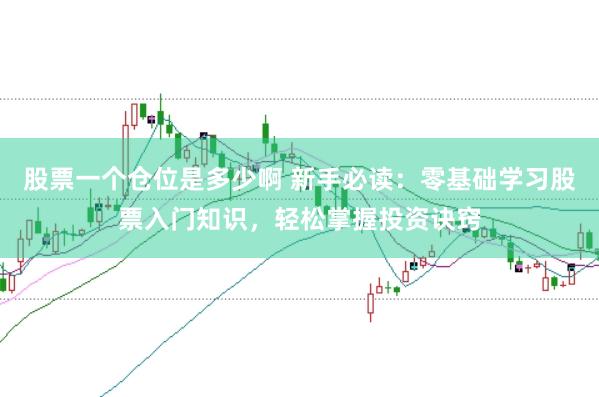 股票一个仓位是多少啊 新手必读：零基础学习股票入门知识，轻松掌握投资诀窍
