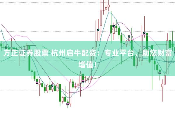 方正证券股票 杭州启牛配资：专业平台，助您财富增值！