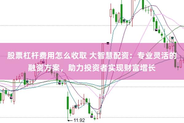 股票杠杆费用怎么收取 大智慧配资：专业灵活的融资方案，助力投资者实现财富增长