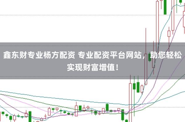鑫东财专业杨方配资 专业配资平台网站，助您轻松实现财富增值！