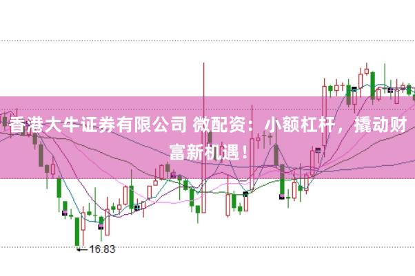 香港大牛证券有限公司 微配资：小额杠杆，撬动财富新机遇！