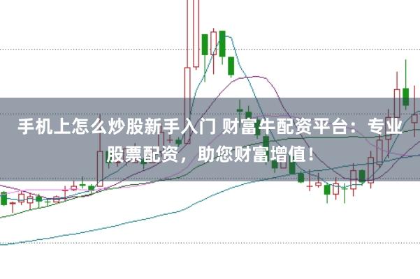 手机上怎么炒股新手入门 财富牛配资平台：专业股票配资，助您财富增值！