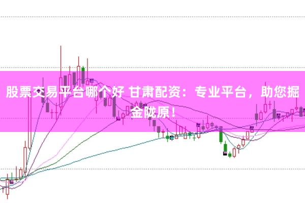 股票交易平台哪个好 甘肃配资：专业平台，助您掘金陇原！