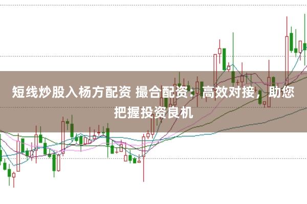 短线炒股入杨方配资 撮合配资：高效对接，助您把握投资良机