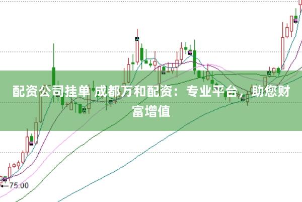 配资公司挂单 成都万和配资：专业平台，助您财富增值