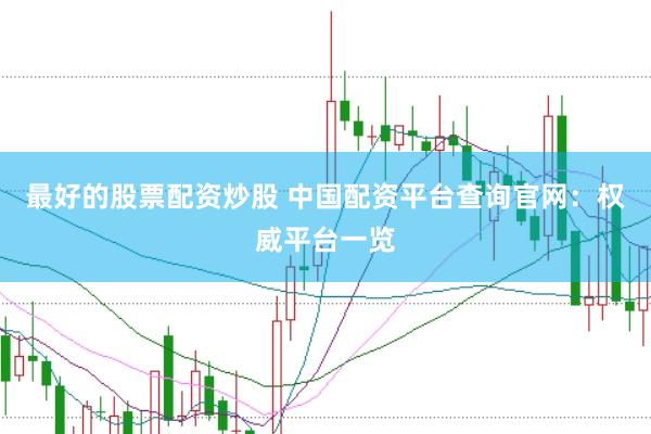 最好的股票配资炒股 中国配资平台查询官网：权威平台一览