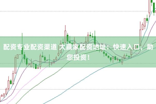 配资专业配资渠道 大赢家配资地址：快速入口，助您投资！