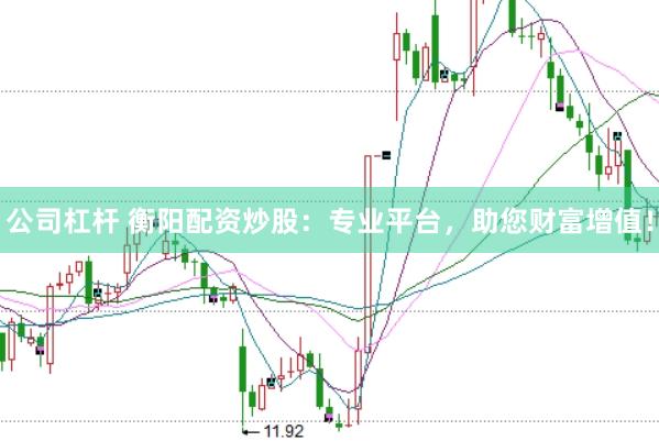 公司杠杆 衡阳配资炒股：专业平台，助您财富增值！
