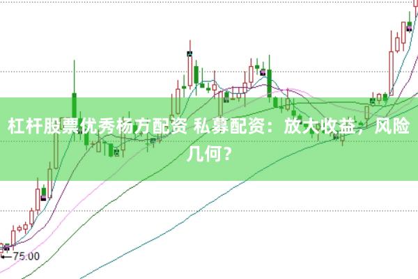 杠杆股票优秀杨方配资 私募配资：放大收益，风险几何？