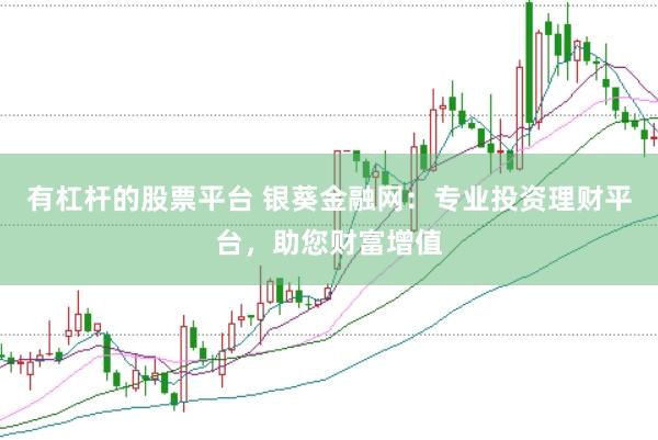 有杠杆的股票平台 银葵金融网：专业投资理财平台，助您财富增值