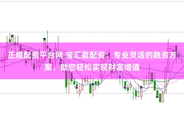 正规配资平台网 宝汇盈配资：专业灵活的融资方案，助您轻松实现财富增值