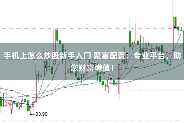 手机上怎么炒股新手入门 聚富配资：专业平台，助您财富增值！