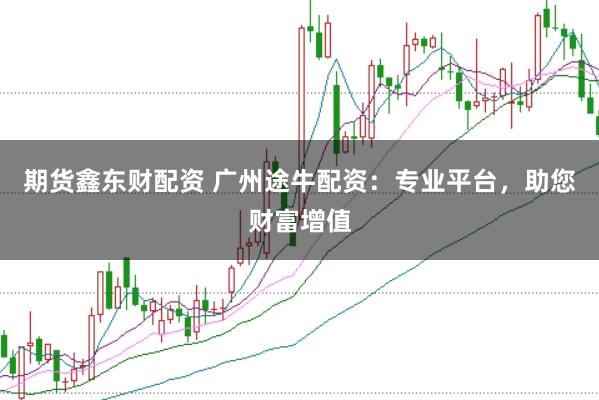 期货鑫东财配资 广州途牛配资:专业平台,助您财富增值
