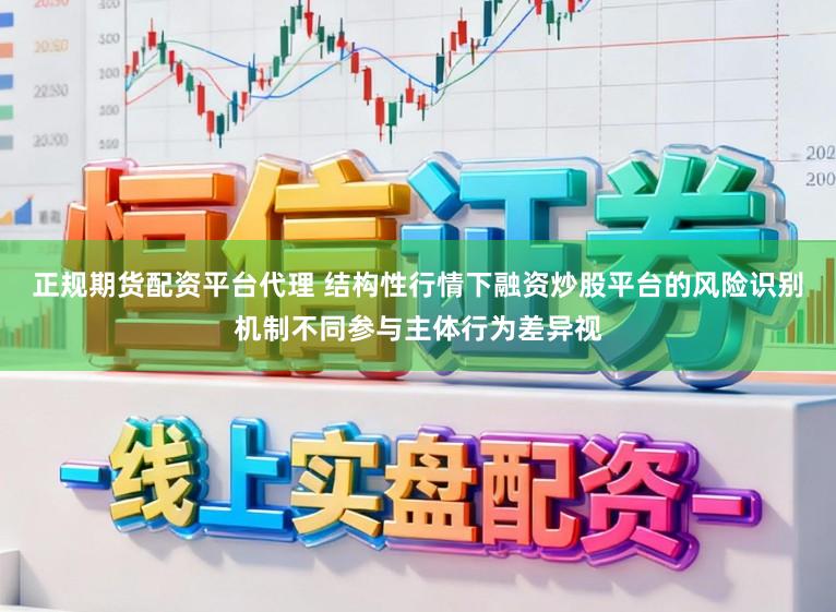 正规期货配资平台代理 结构性行情下融资炒股平台的风险识别机制不同参与主体行为差异视