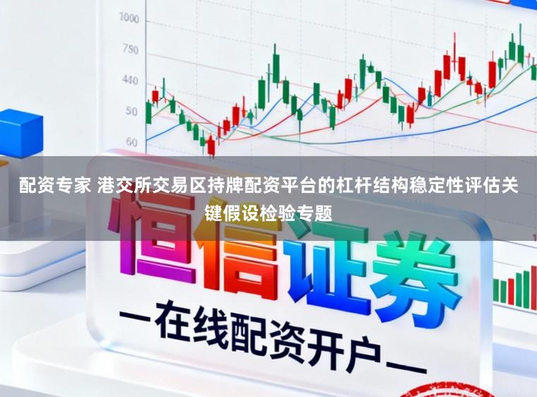 配资专家 港交所交易区持牌配资平台的杠杆结构稳定性评估关键假设检验专题