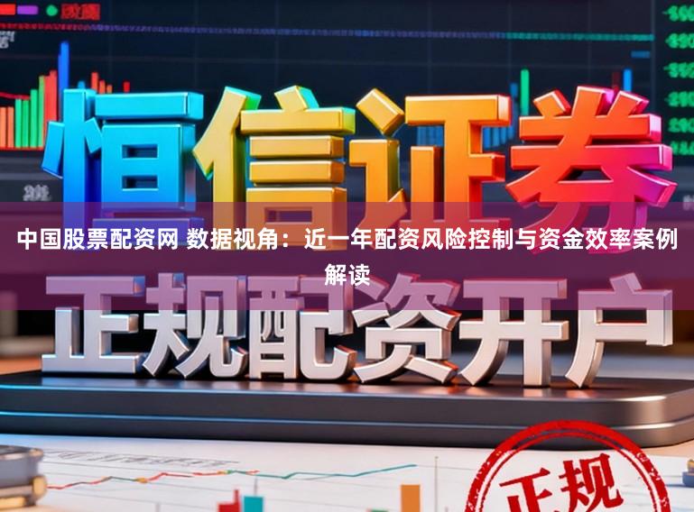 中国股票配资网 数据视角:近一年配资风险控制与资金效率案例解读