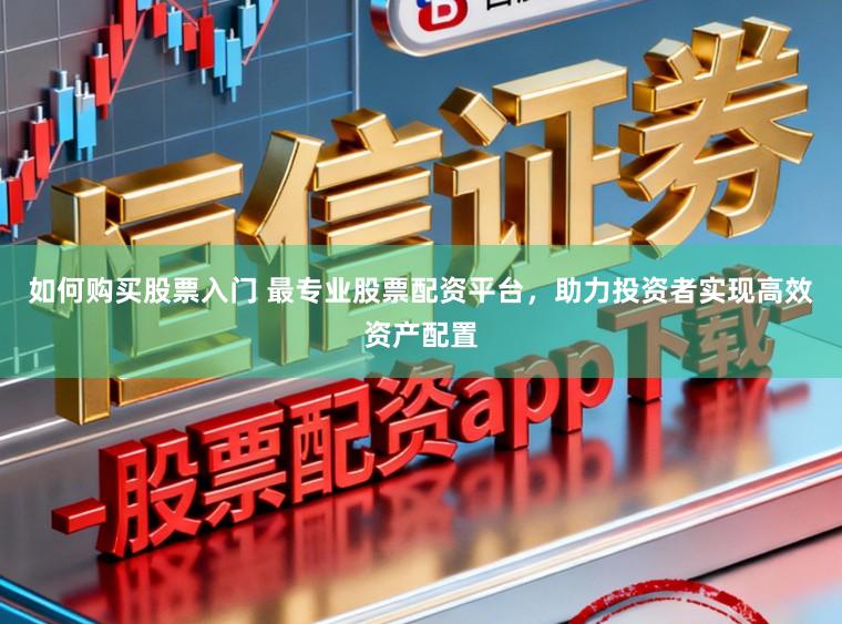 如何购买股票入门 最专业股票配资平台，助力投资者实现高效资产配置